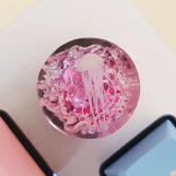 Candy Jellyfish